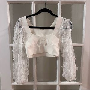 Free people flutter by top